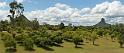 (12) View from Glass House Mountain Tea Room